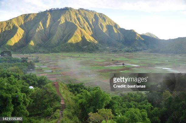 aerial view of garland near sembalun village and mount rinjani, lombok, indonesia - mount rinjani 個照片及圖片檔