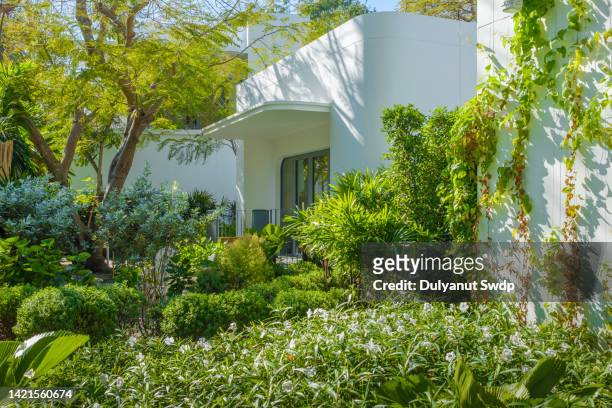 garden in the backyard. - thailand house stock pictures, royalty-free photos & images