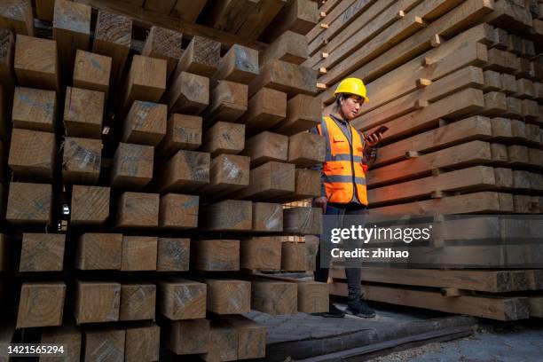 female inspector in lumber mill is looking at mobile phone - logging mill stock pictures, royalty-free photos & images