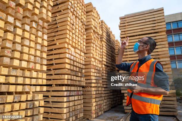 male lumber factory employee at work - erfolgreicher holzhandel stock-fotos und bilder