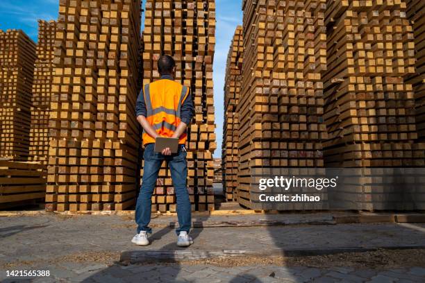 Logging On Computer Photos and Premium High Res Pictures - Getty Images