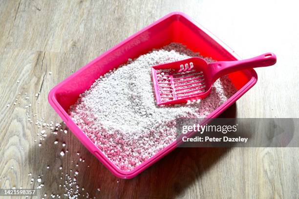 pink litter tray - cat litter stock pictures, royalty-free photos & images