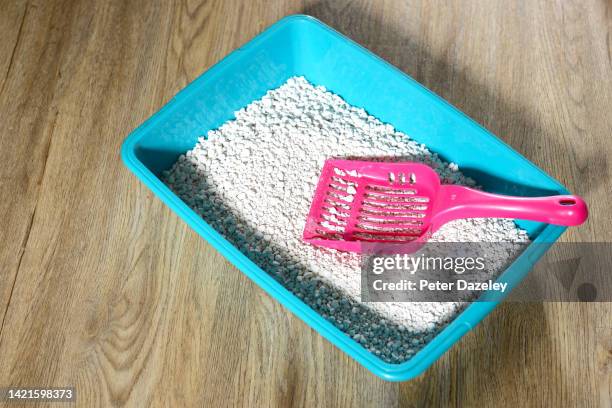 blue and pink litter tray - cat litter stock pictures, royalty-free photos & images