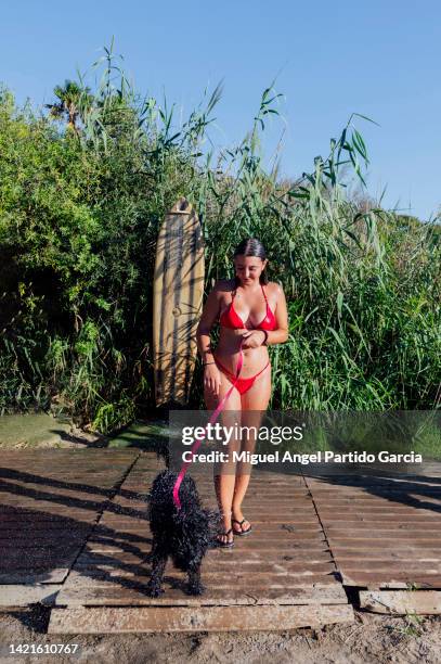 woman washing a water dog - dog shaking stock pictures, royalty-free photos & images