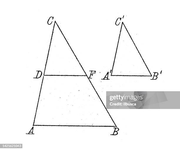 antike illustration, mathematik und geometrie: geometrische formähnlichkeit - mathematical-function stock-grafiken, -clipart, -cartoons und -symbole