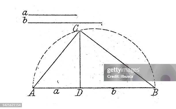 antike illustration, mathematik und geometrie: geometrische formähnlichkeit - mathematical-function stock-grafiken, -clipart, -cartoons und -symbole