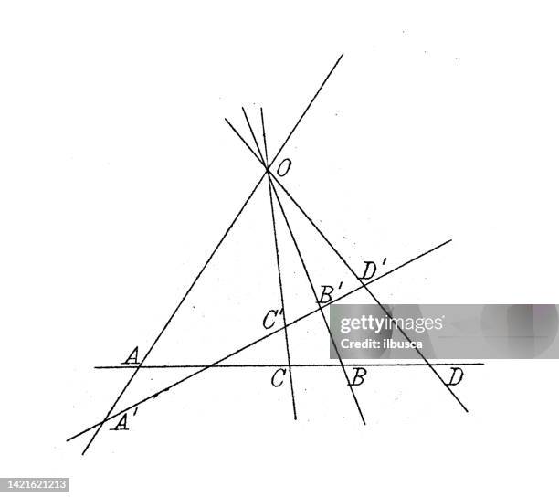 antike illustration, mathematik und geometrie: geometrische formähnlichkeit - mathematical-function stock-grafiken, -clipart, -cartoons und -symbole