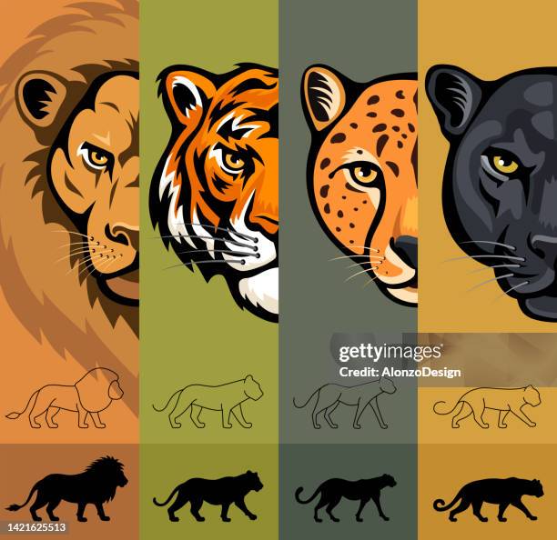 big cat heads. mascot creative design and icons. - cheetah stock illustrations