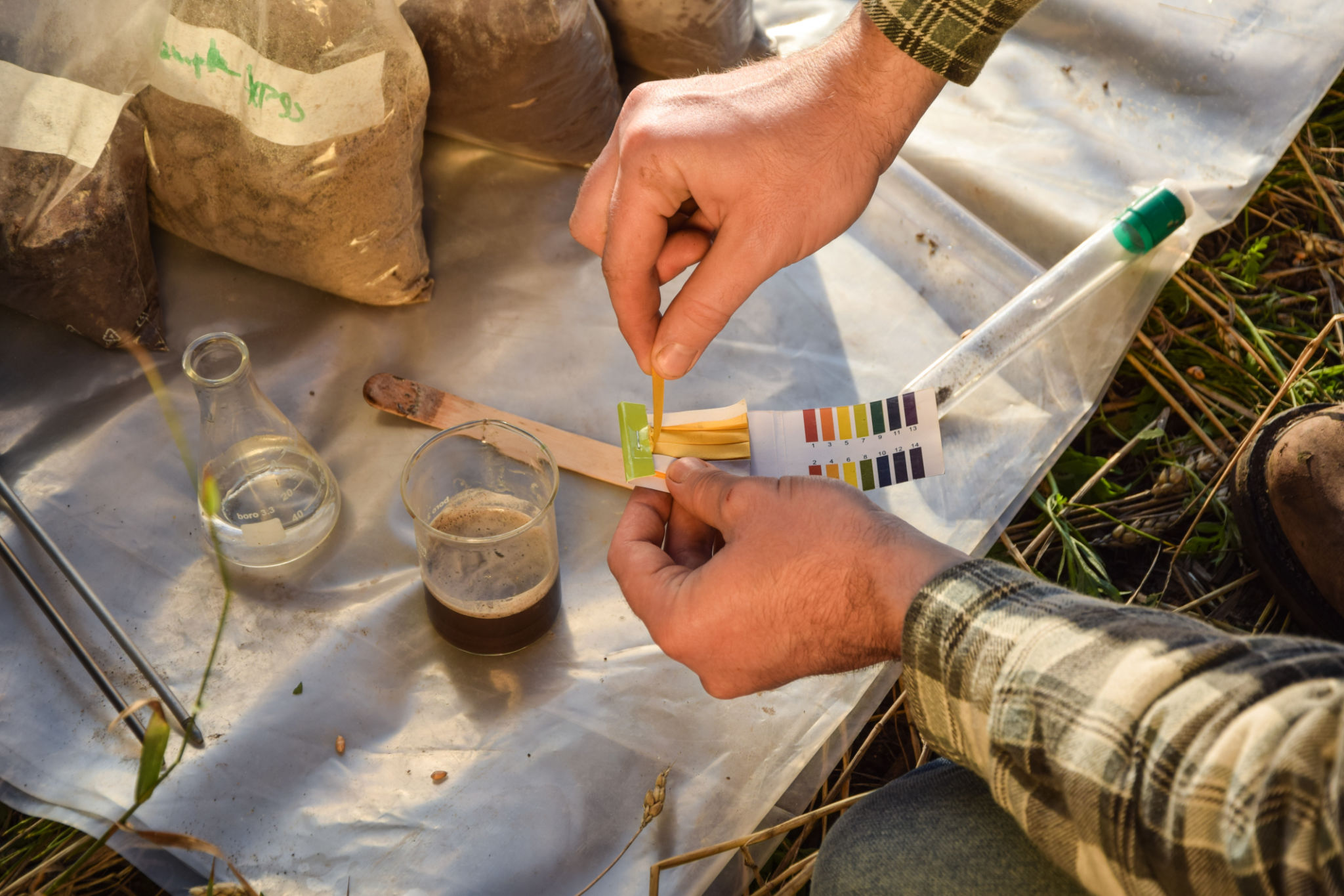 soil test