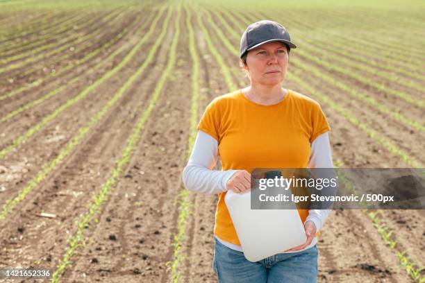 portrait of farmer holding digital tablet while standing on field,serbia - trucker's hat stock pictures, royalty-free photos & images