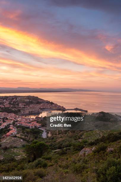 collioure at sunset (languedoc-roussillon, france) - languedoc rousillon stock-fotos und bilder