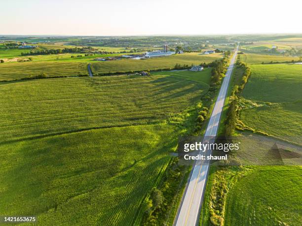 aerial view of corn field - aerial surveillance stock pictures, royalty-free photos & images