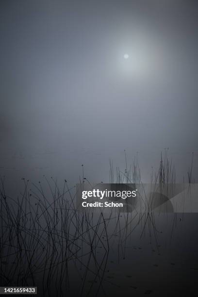 sun over a foggy lake in autumn - lakeshore stock pictures, royalty-free photos & images