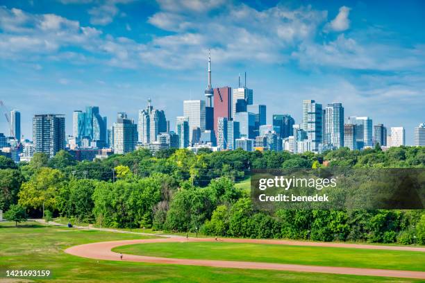 toronto downtown skyline park canada - toronto skyline stock pictures, royalty-free photos & images