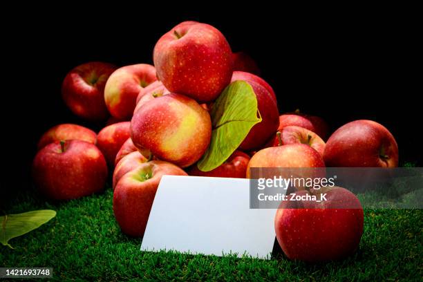 bunch of apples on grass in front of black background - gala apple stock pictures, royalty-free photos & images