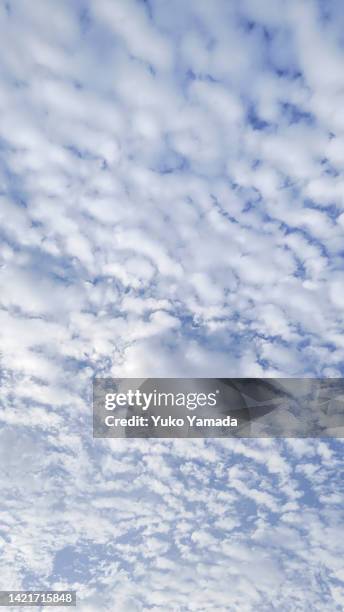 cloud typologies - cloud typologies stock pictures, royalty-free photos & images