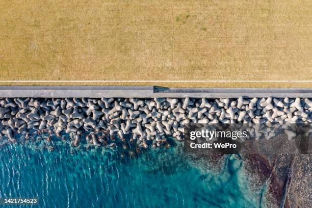 flood embankment by the sea - groyne photos et images de collection