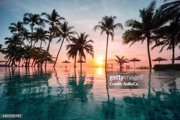 tropical pool and beach at sunset - palmboom stockfoto's en -beelden