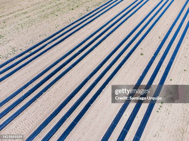 aerial view of organic mulching foils on an agricultural field - medium group of objects stock pictures, royalty-free photos & images