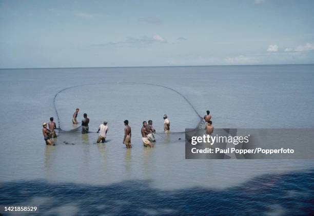 https://media.gettyimages.com/id/1421858529/photo/seine-fishing-in-trinidad.jpg?s=612x612&w=gi&k=20&c=Cpa6r8yEMHFNYjowMlwKg6DM7SEdI4Qab2P-v-TivLI=