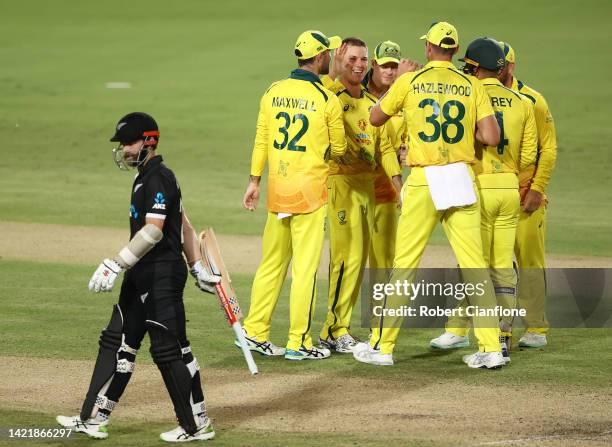 Adam Zampa of Australia celebrates taking the wicket of Kane Williamson of New Zealand during game two of the One Day International Series between...