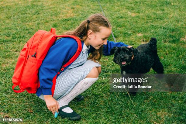 school girl playing with dog - dog backpack stock pictures, royalty-free photos & images