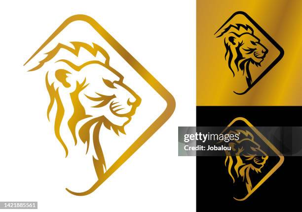 gold lion icon symbol template - luxury logo stock illustrations