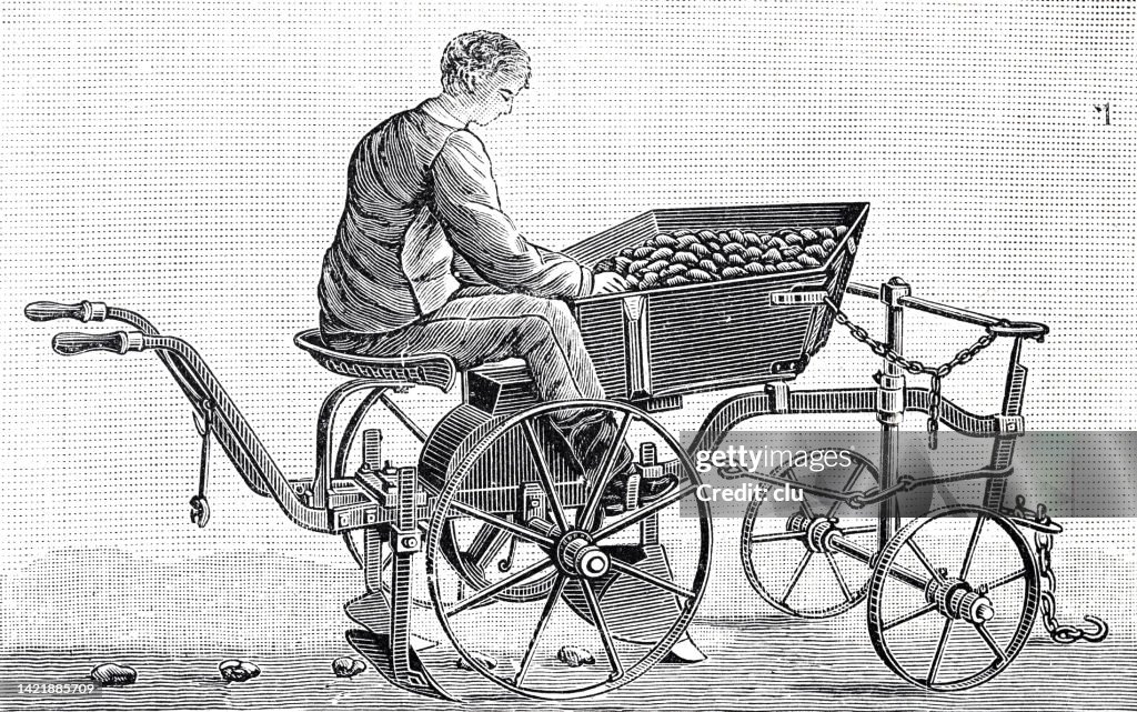 Potato planting machine