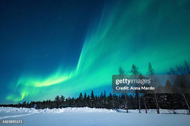 green aurora borealis shining at the night sky in finland. - inari finland bildbanksfoton och bilder