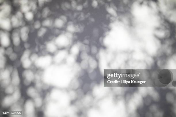 shadows from different plants on the textured stone wall. - shadow foto e immagini stock