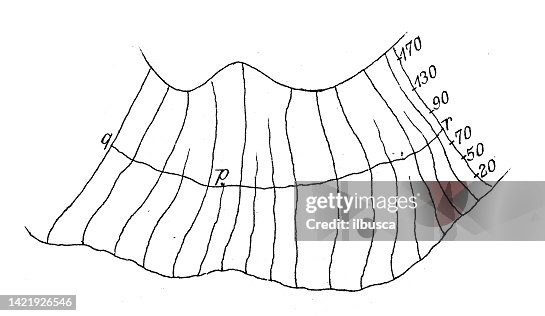 Antique Illustration Mathematics And Geometry Topography Orthogonal ...