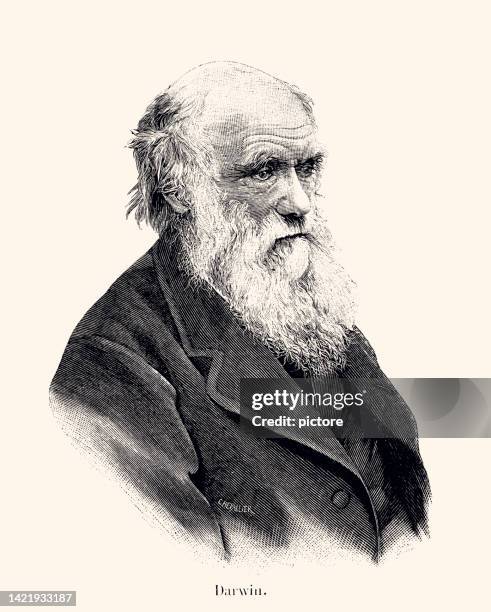 charles darwin: englischer naturforscher (xxxl mit vielen details) - palaeontology stock-grafiken, -clipart, -cartoons und -symbole