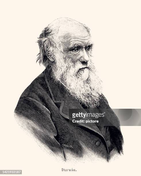 ilustraciones, imágenes clip art, dibujos animados e iconos de stock de charles darwin: naturalista inglés (xxxl con muchos detalles) - evolución humana