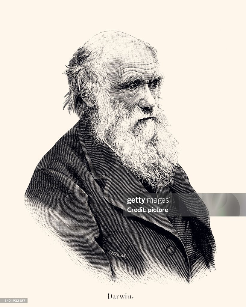 CHARLES DARWIN: ENGLISH NATURALIST (XXXL with lots of details)