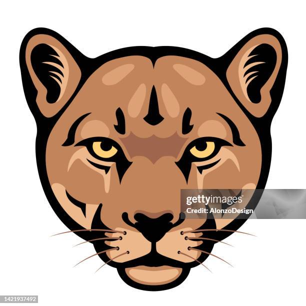 ilustraciones, imágenes clip art, dibujos animados e iconos de stock de cabeza de puma. diseño creativo de mascotas. - cougar