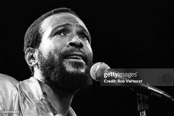 Marvin Gaye Performs In Rotterdam Marvin Gaye Performs In Rotterdam