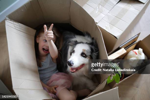 girl child blonde with dog playing together in cardboard boxes, moving. - 2022 a funny thing stock pictures, royalty-free photos & images