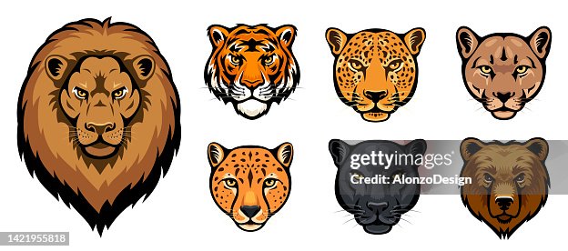 321,417 Animal Print Stock Photos, High-Res Pictures, and Images - Getty  Images
