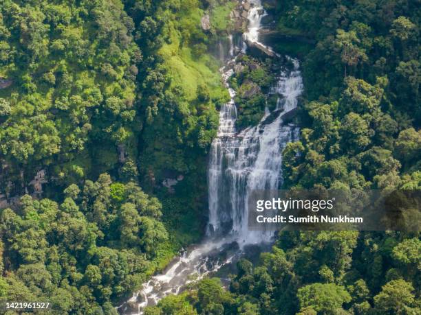 big waterfall, tad kamud and tad suea in the bolaven plateau forest, at dong hua sao national park, paksong, champasak, southern laos - southeast stock pictures, royalty-free photos & images