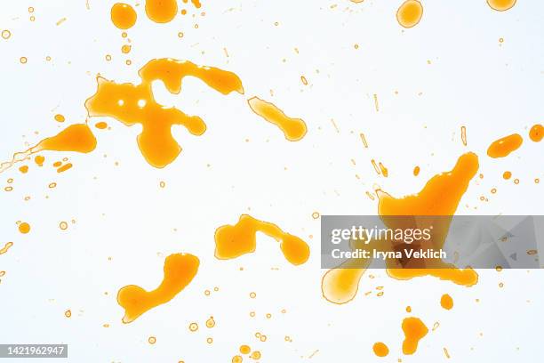 coffee cup stains  from spilled coffee on white color background. - food stains stock-fotos und bilder