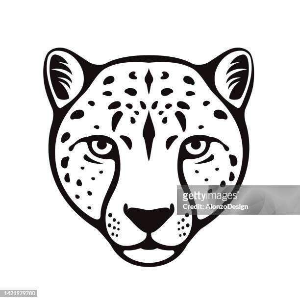 56 Cheetah Face High Res Illustrations - Getty Images
