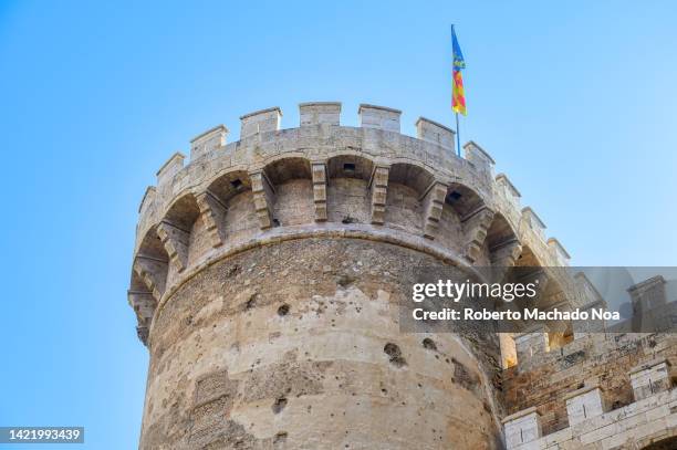 quart towers in valencia - close up gate stockfoto's en -beelden