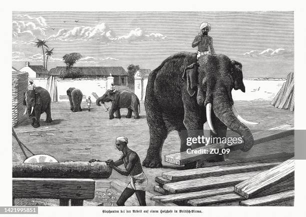 イギリス領ビルマ(ミャンマー)で働く象、木版画、1885年出版 - elephant carrying timber点のイラスト素材／クリップアート素材／マンガ素材／アイコン素材