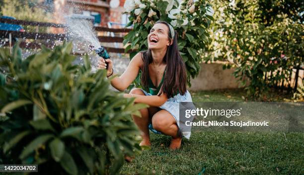 a woman sprays a hose in the yard - watering lawn stock pictures, royalty-free photos & images
