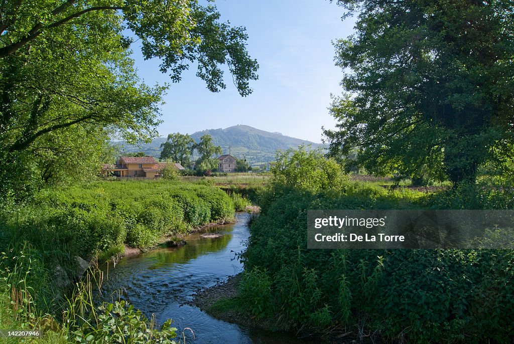 Small river surrounded by trees