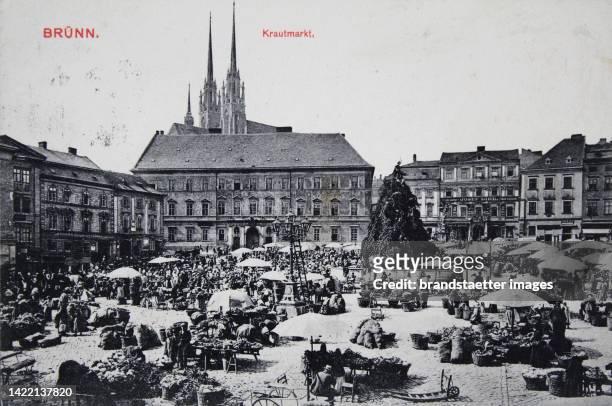 Herbage market in Brno. With the cathedral in the background. 1907.Postcard.
