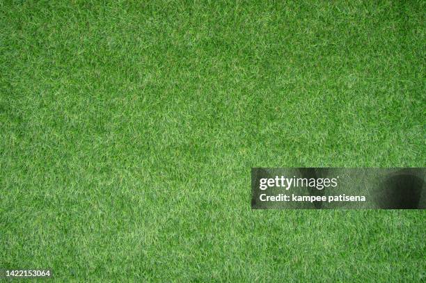 artificial grass, close up, full frame shot - gräser stock-fotos und bilder