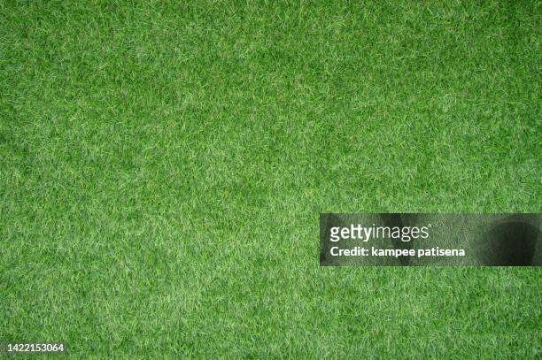 artificial grass, close up, full frame shot - grass stock pictures, royalty-free photos & images