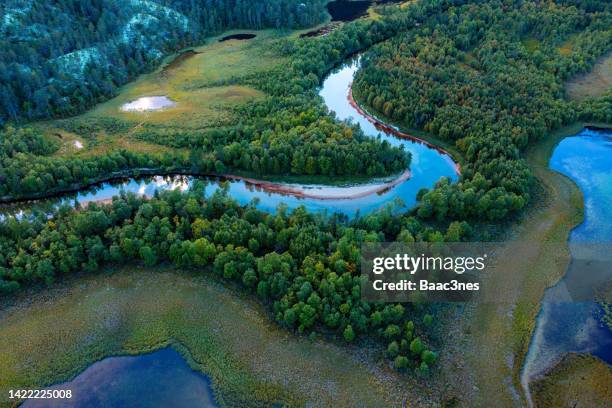 swamp, river, lake and trees seen from above - river stockfoto's en -beelden