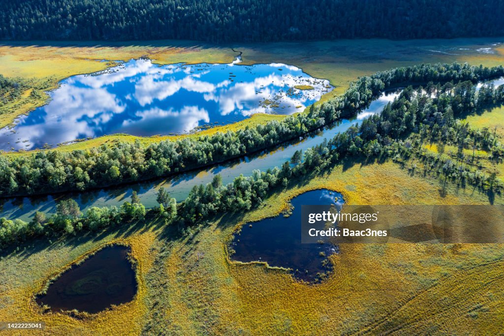 Swamp, river, lake and trees seen from above